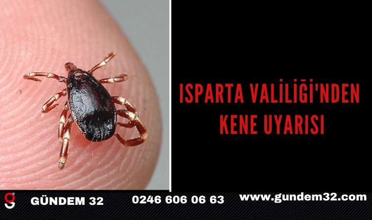 Isparta Valiliği'nden Kene Uyarısı