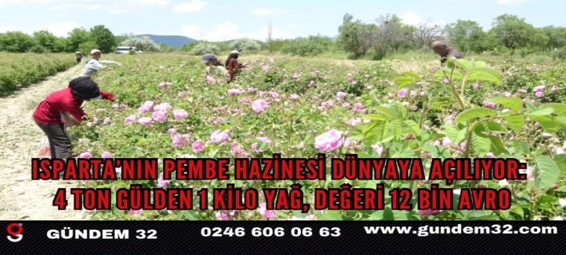 Isparta’nın Pembe Hazinesi Dünyaya Açılıyor: 4 Ton Gülden 1 Kilo Yağ, Değeri 12 Bin Avro