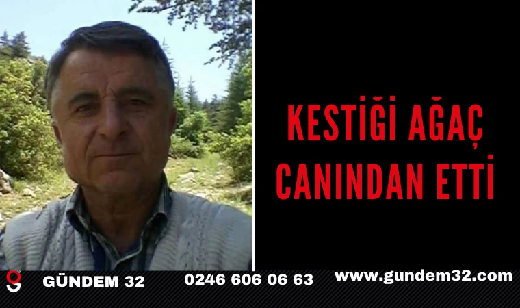 KESTİĞİ AĞAÇ CANINDAN ETTİ