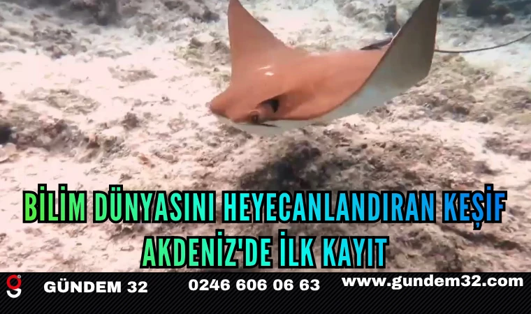 Bilim Dünyasını Heyecanlandıran Keşif: Akdeniz'de İlk Kayıt