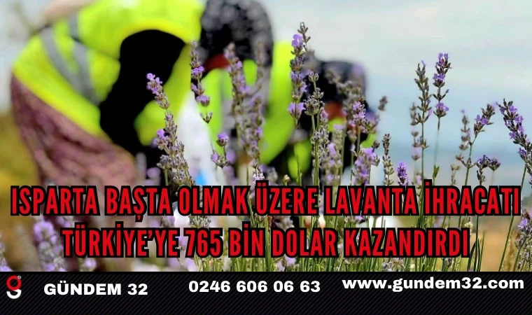 Isparta Başta Olmak Üzere Lavanta İhracatı Türkiye’ye 765 Bin Dolar Kazandırdı