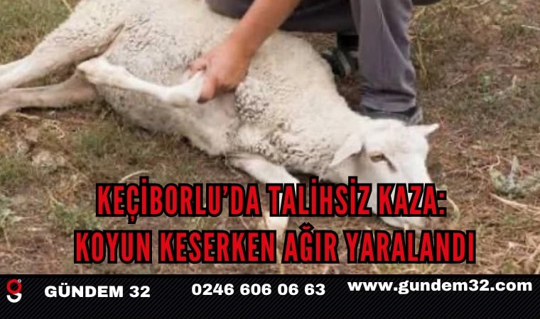 Keçiborlu’da Koyun Keserken Bıçağın Üzerine Düştü: Ağır Yaralandı
