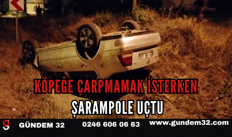 Köpeğe Çarpmamak İsterken Şarampole Uçtu