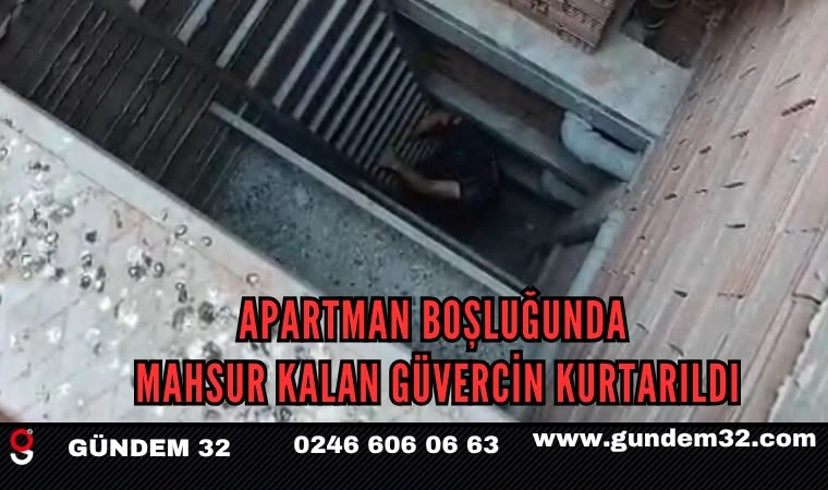 Apartman Boşluğunda Mahsur Kalan Güvercin Kurtarıldı