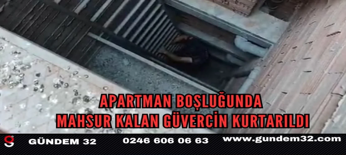 Apartman Boşluğunda Mahsur Kalan Güvercin Kurtarıldı