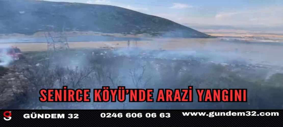 Senirce Köyü’nde Arazi Yangını