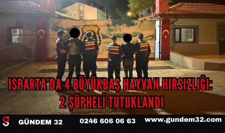 Isparta’da 4 büyükbaş hayvan hırsızlığı: 2 şüpheli tutuklandı