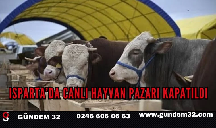 Isparta’da Canlı Hayvan Pazarı Şap Hastalığı Nedeniyle Kapatıldı