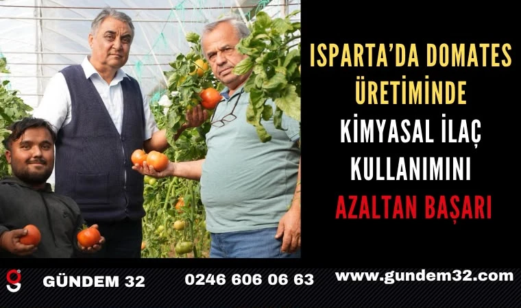 Isparta’da domates üretiminde kimyasal ilaç kullanımını azaltan başarı