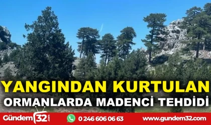 YANGINDAN KURTULAN ORMANLARDA MADENCİ TEHDİDİ