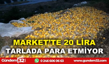DEREYE YATAĞINA DÖKÜLDÜ