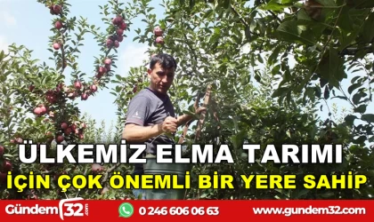 ISPARTA ELMASI EKONOMİYE MİLYARLAR KAZANDIRIYOR