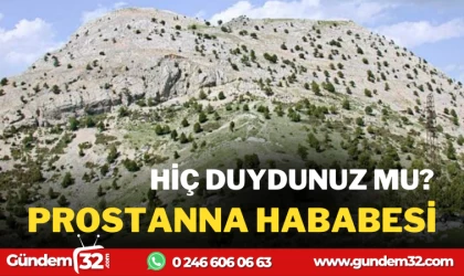 PROSTANNA HARABESİ