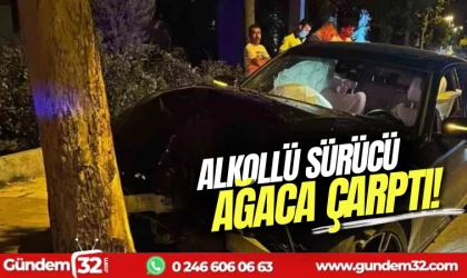 Alkollü sürücü ağaca çarptı