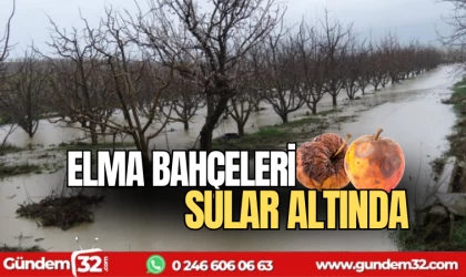Elma bahçeleri sular altında kaldı