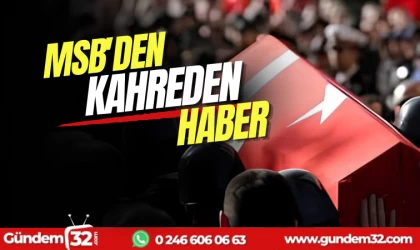 Şehidin var Türkiye!