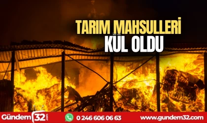 Çıkan yangında tarım mahsulleri kül oldu
