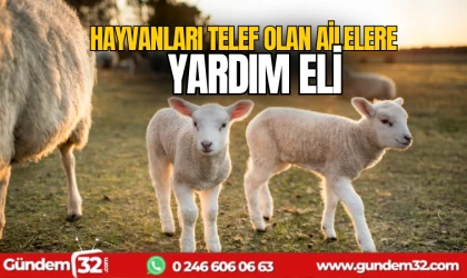 Hayvanları Telef Olan Ailelere Yardım Eli