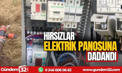 Hırsızlar elektrik panolarına dadandı