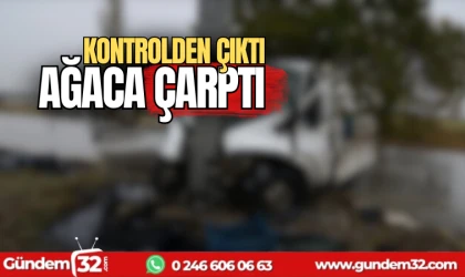 Kontrolden çıkan kamyonet ağaca çarptı