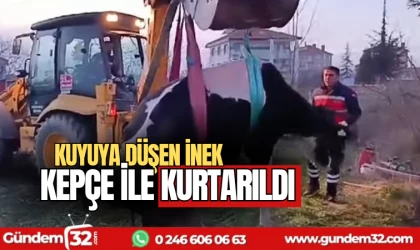Kuyuya düşen inek kepçe ile kurtarıldı