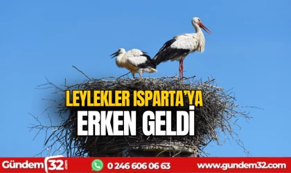 Leylekler Isparta'ya erken geldi