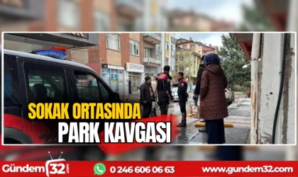 Sokak ortasında park kavgası