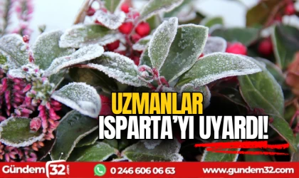 Uzmanlar Isparta'yı uyardı