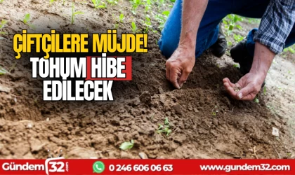 Ziraat odası duyurdu: tohum hibe edilecek