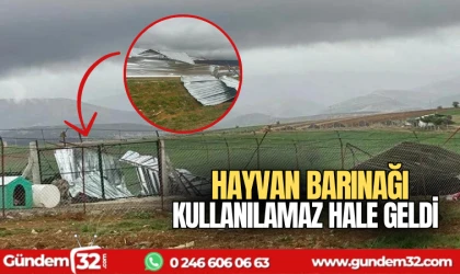 Hayvan barınağı kullanılamaz hale geldi