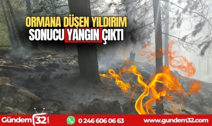 Ormana düşen yıldırım sonucu yangın çıktı