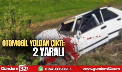 Otomobil yoldan çıktı: 2 yaralı