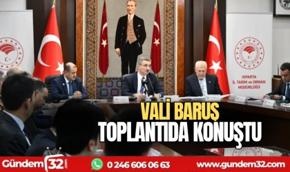 Vali Baruş toplantıda konuştu