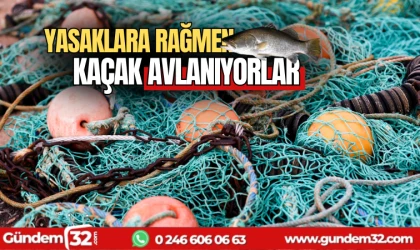 Yasaklara rağmen kaçak avlanıyorlar