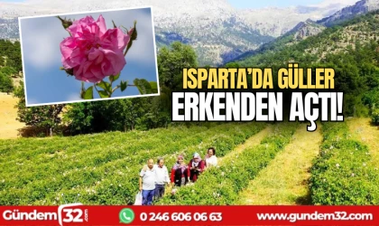 Isparta'da güller erkenden açtı