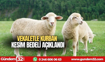 Vekaletle kurban kesim bedeli açıklandı