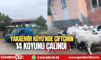 Yakaemir Köyü'nde çiftçinin 14 koyunu çalındı