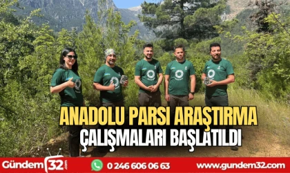 Anadolu Parsı Araştırma Çalışmaları Başlatıldı