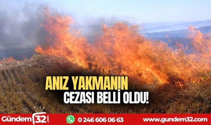 Anız yakmanın cezası belli oldu