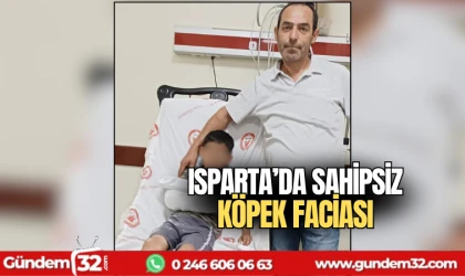 Isparta'da sahipsiz köpek faciası
