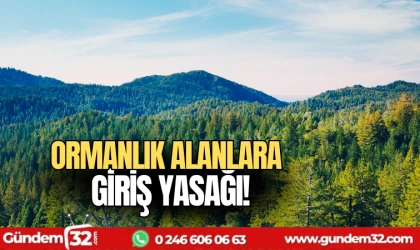 Ormanlık alanlara giriş yasağı