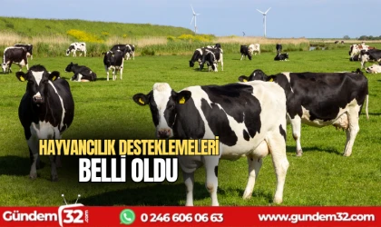 Hayvancılık desteklemeleri belli oldu