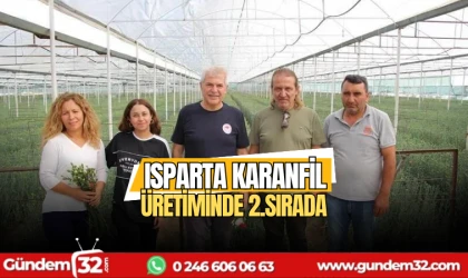 Isparta karanfil üretiminde 2.sırada