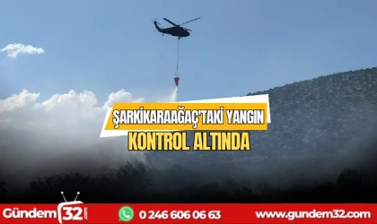 Şarkikaraağaç'taki yangın kontrol altında