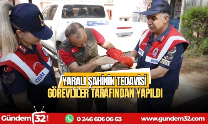 Yaralı şahinin tedavisi görevliler tarafından yapıldı