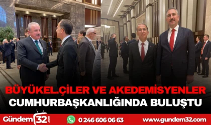 BÜYÜKELÇİLER VE AKADEMİSYENLER CUMHURBAŞKANLIĞIN'DA BULUŞTU