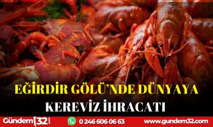 EĞİRDİR GÖLÜ'NDEN DÜNYAYA KEREVİZ İHRACATI