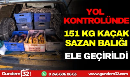 YOL KONTROLÜNDE 151 KG KAÇAK SAZAN BALIĞINA EL KONULDU