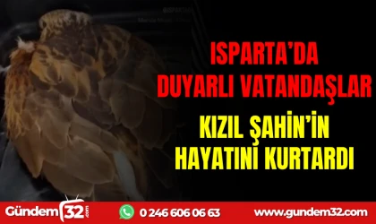 ISPARTA'DA DUYARLI VATANDAŞLAR KIZIL ŞAHİNİN HAYATINI KURTARDI