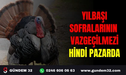 YILBAŞI SOFRALARININ VAZGEÇİLMEZİ HİNDİ PAZARDA